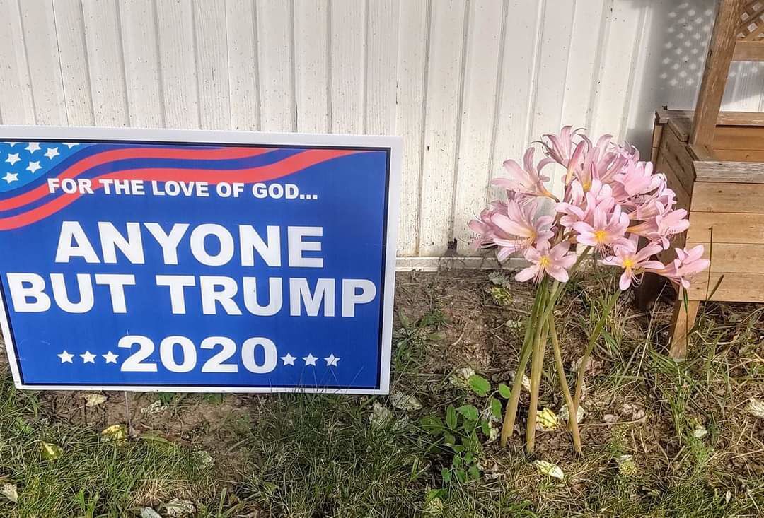 Submitted by Gail Clendenen